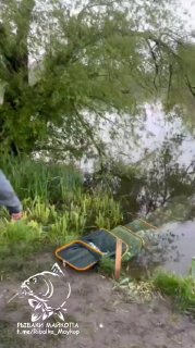 Прибрежный участок водоёма УТЯТНИК: подсак и рыболовные принадлежности у кромки воды, ветви и подлесок на фоне зеркала реки.
