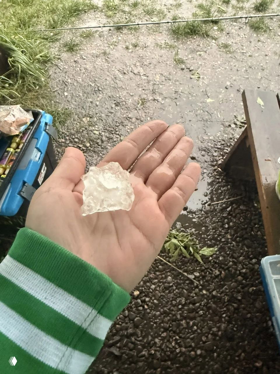 Рука рыбака показывает крупный кусок града на ладони на фоне мокрой земли, ящика со снастями и береговой зоны возле водоёма.