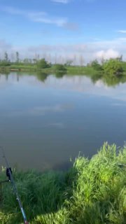 Панорамный вид на зеркальную поверхность водоёма Утятник, северный берег и небо с редкими облаками, утренняя ловля.