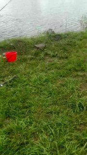 Красное ведро, удочка у воды и разложенные на траве рыболовные принадлежности на фоне береговой растительности.