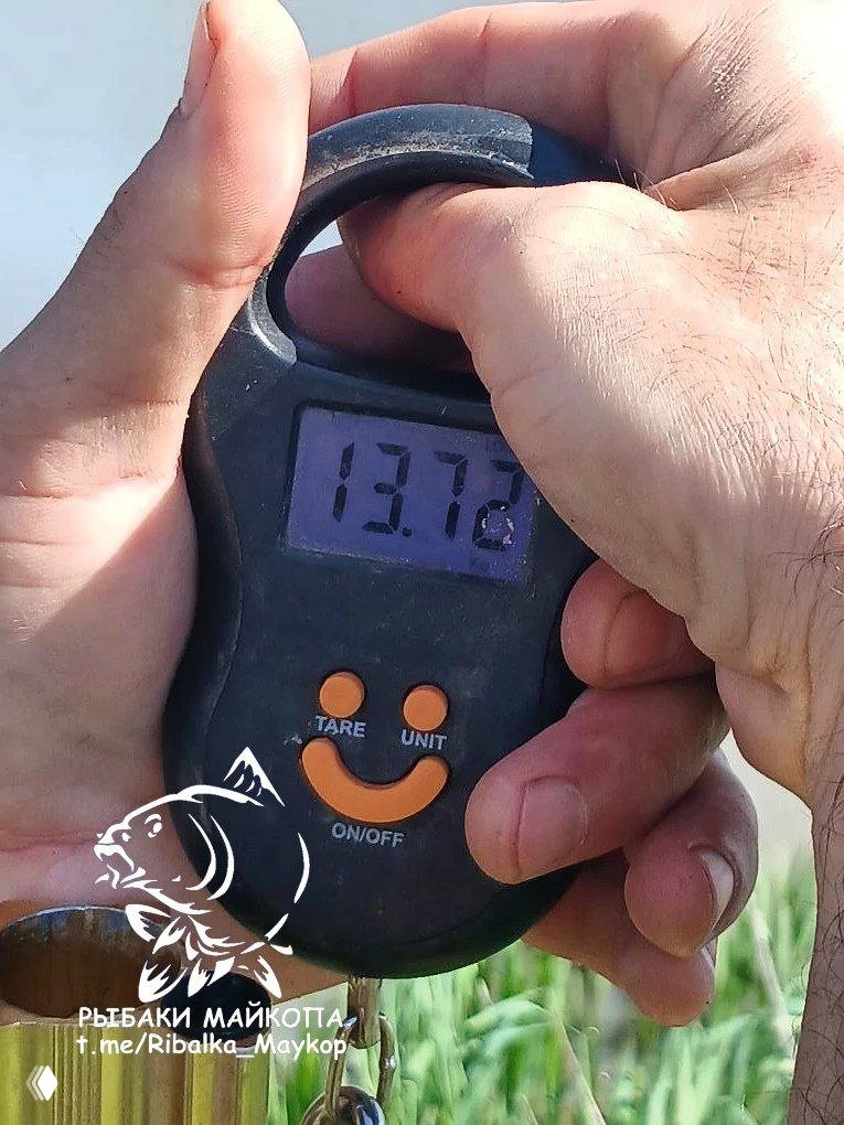 Крупный план цифровых весов в руках рыбака с показанием 13.72 кг; часть рук и фон водоёма видны, на фото также логотип канала.
