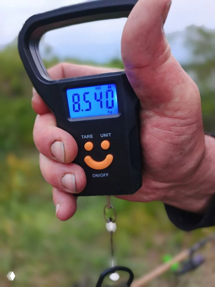 Крупный план цифровых весов в руке рыбака, на экране показано 8.540 кг; фон размытый — природа и удочки на берегу.