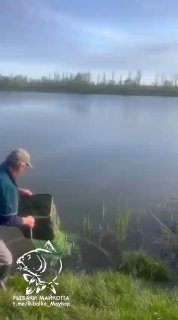 Пожилой рыбак сидит у кромки воды на коробке, занимается прикормкой; на переднем плане трава и спокойная поверхность пруда с логотипом.