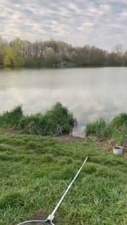 Вид на берег озера Утятник: рыболовный подсак и удилище на переднем плане, вода и прибрежные заросли на фоне.