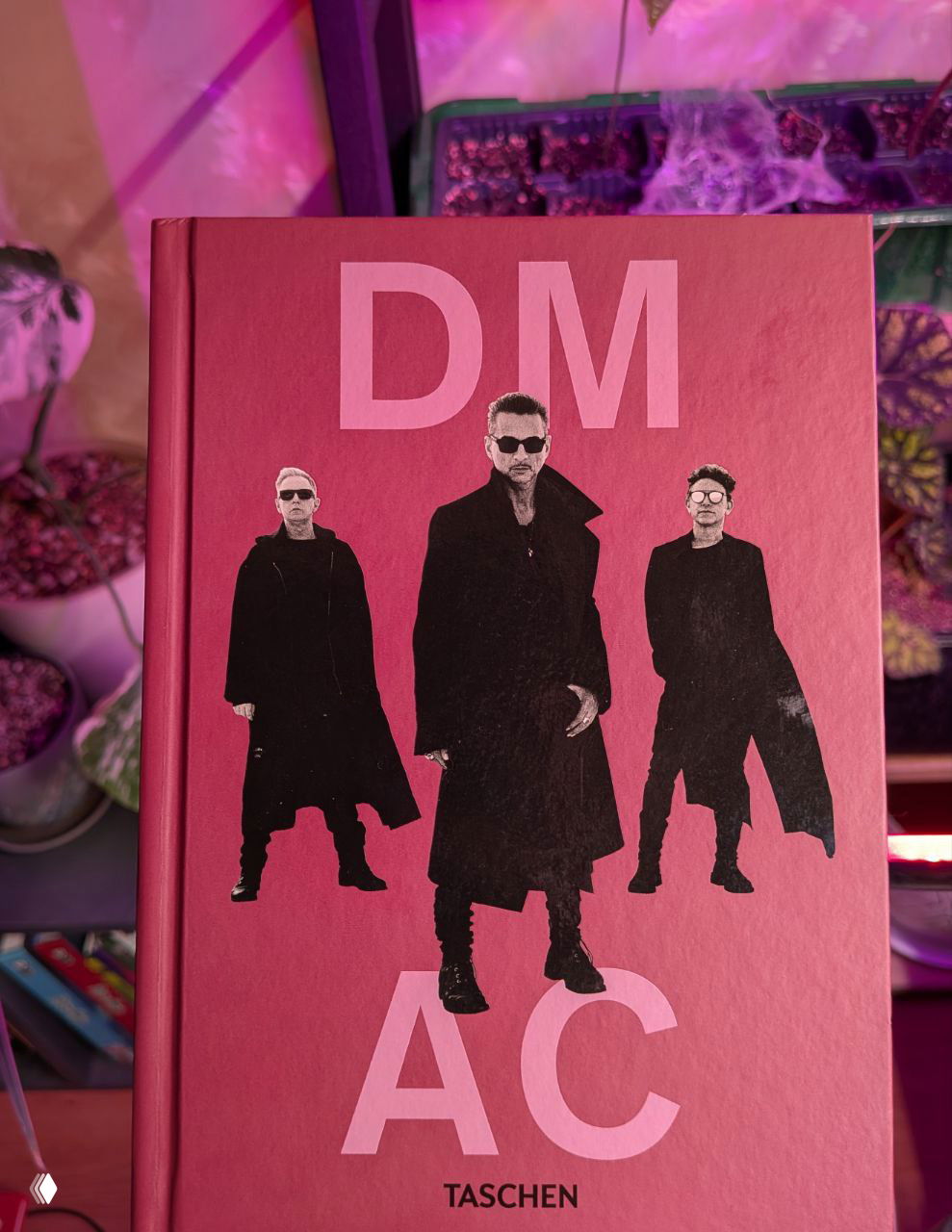 Книга «Depeche Mode by Anton Corbijn»: фото и впечатления