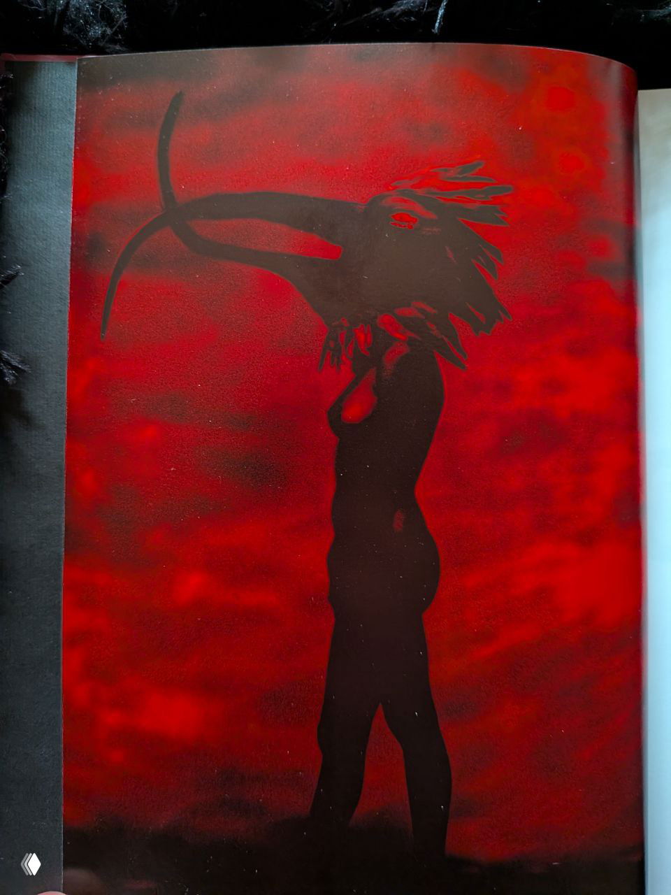 Разворот книги: насыщенный красный фон и контрастный чёрный силуэт фигуры в маске птицы, художественная фотография с сюрреалистической эстетикой.