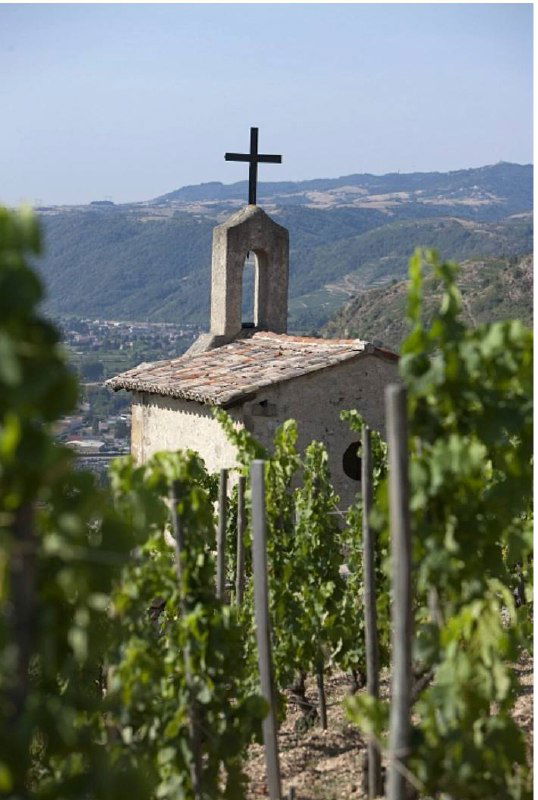 Долина Роны: вино, рожденное солнцем и ветром