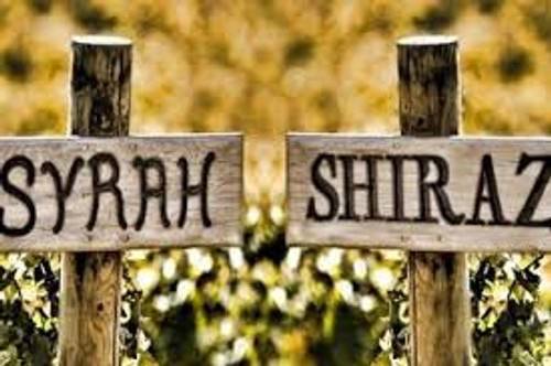 Сира/Шираз: история происхождения и стили