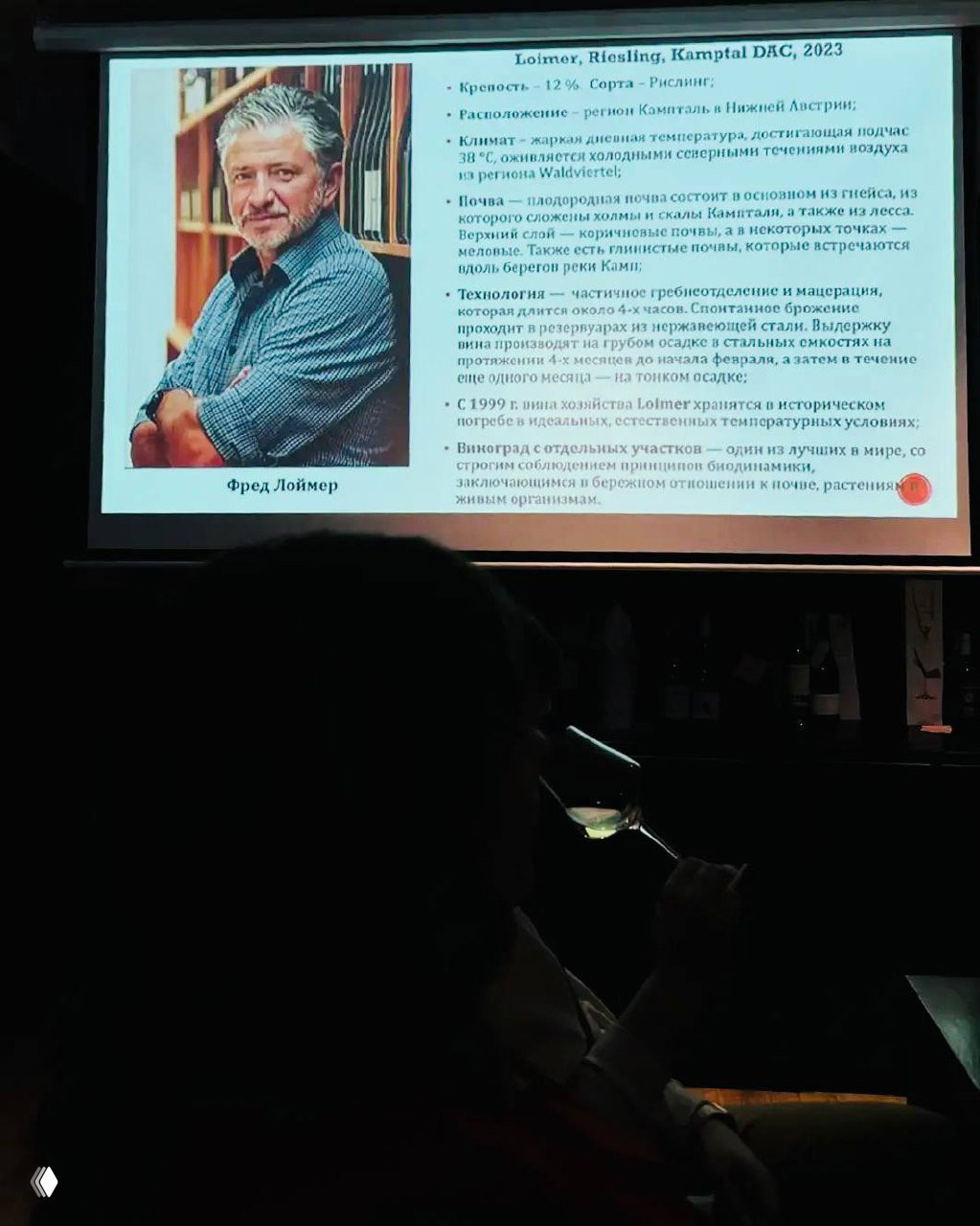 Проекция слайдов о Фреде Лоймере и описанием виноградарства на фоне силуэта дегустирующего человека, атмосфера лекции и презентации.