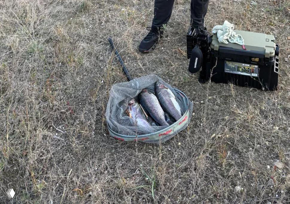 ЗОЛОТОЙ КАРАСЬ 18.10 — уловы рыбаков