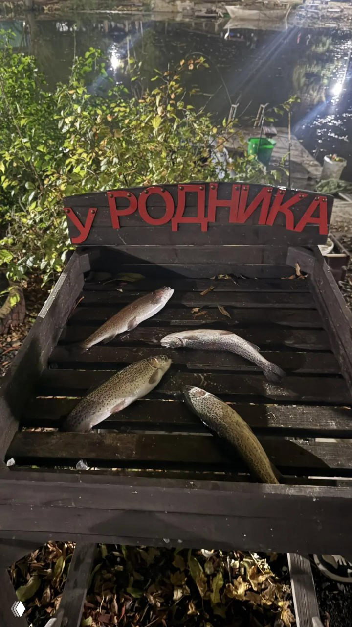 Рыбалка — У РОДНИКА, 17–18.10