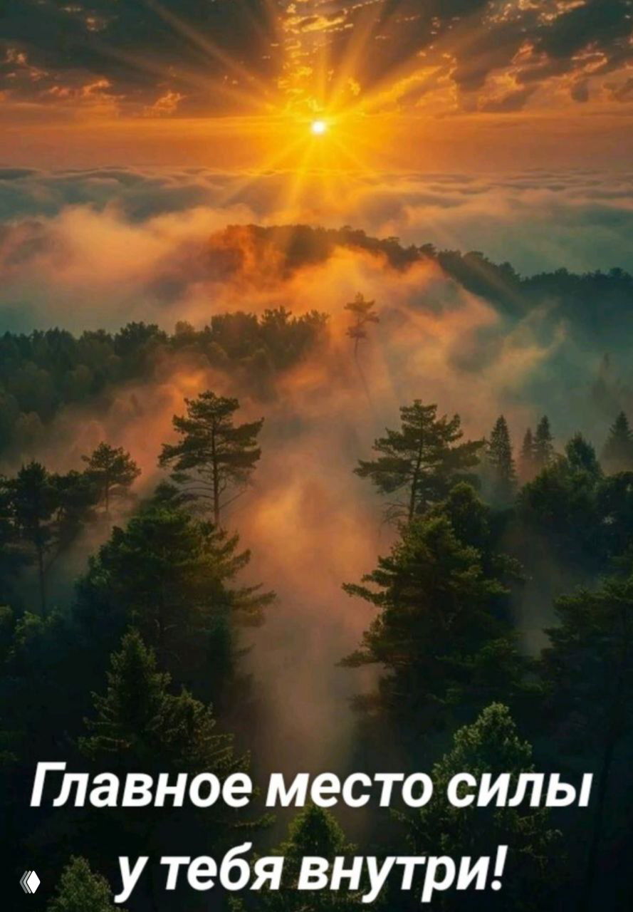 КАК ПОНЯТЬ? Внутренняя опора и нейрографика