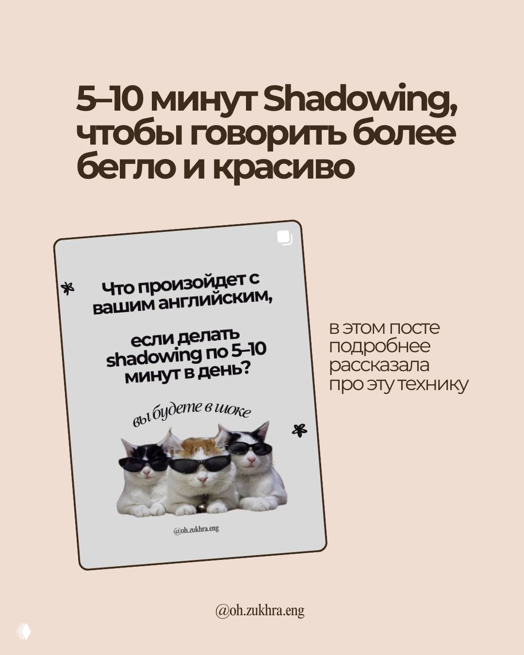 Слайд про 5–10 минут shadowing с иллюстрацией и мемом с котами — визуализация техники shadowing для говорения.