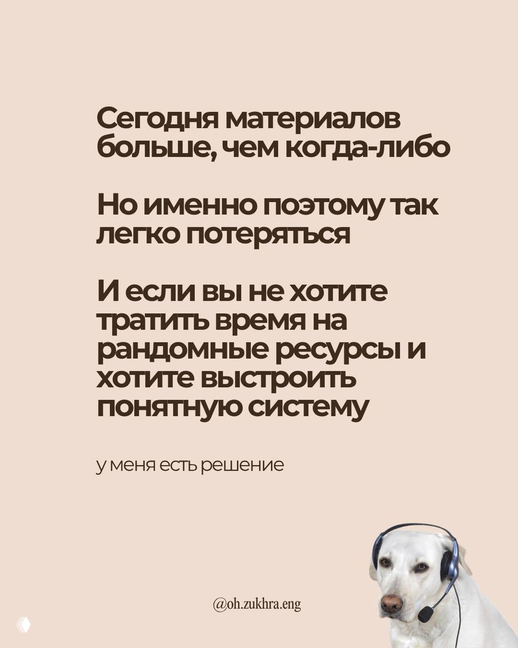Текстовый слайд о переизбытке материалов и важности системы, рядом изображение собаки в наушниках — мягкое приглашение к решению.