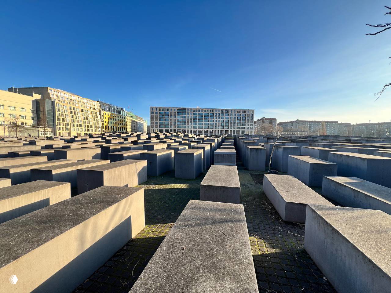 Поля бетонных блоков Мемориала жертвам Холокоста в Берлине на ярком дневном свете, геометрия памятного пространства.