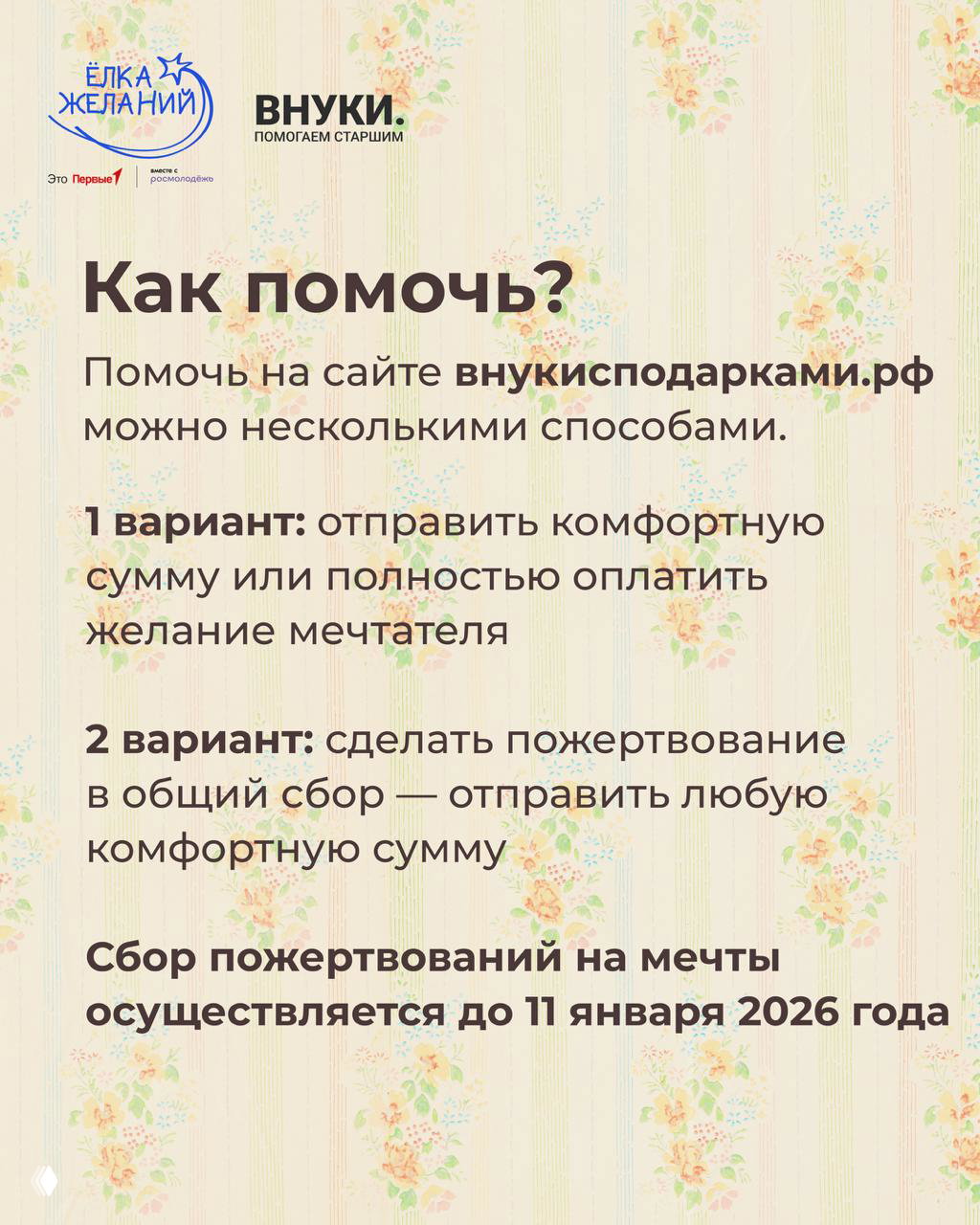 Слайд «Как помочь?» с инструкцией: ссылка на внукисподарками.рф, два варианта поддержки и срок сбора пожертвований до 11 января 2026 года на фоне того же ретро-узора.