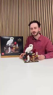 Человек держит собранный набор LEGO по «Гарри Поттеру»: белая сова на книжной подставке, рядом коробка набора и множество мелких деталей-отсылок.