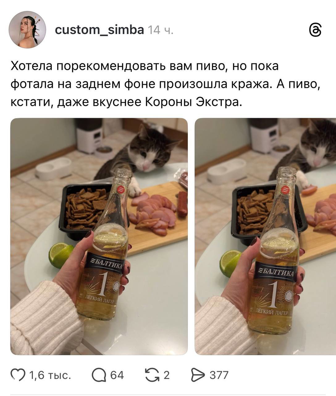 Бутылка «Балтика 1» на кухонном столе рядом с нарезкой и лаймом; на заднем плане кот и интерьер квартиры, видна этикетка напитка.