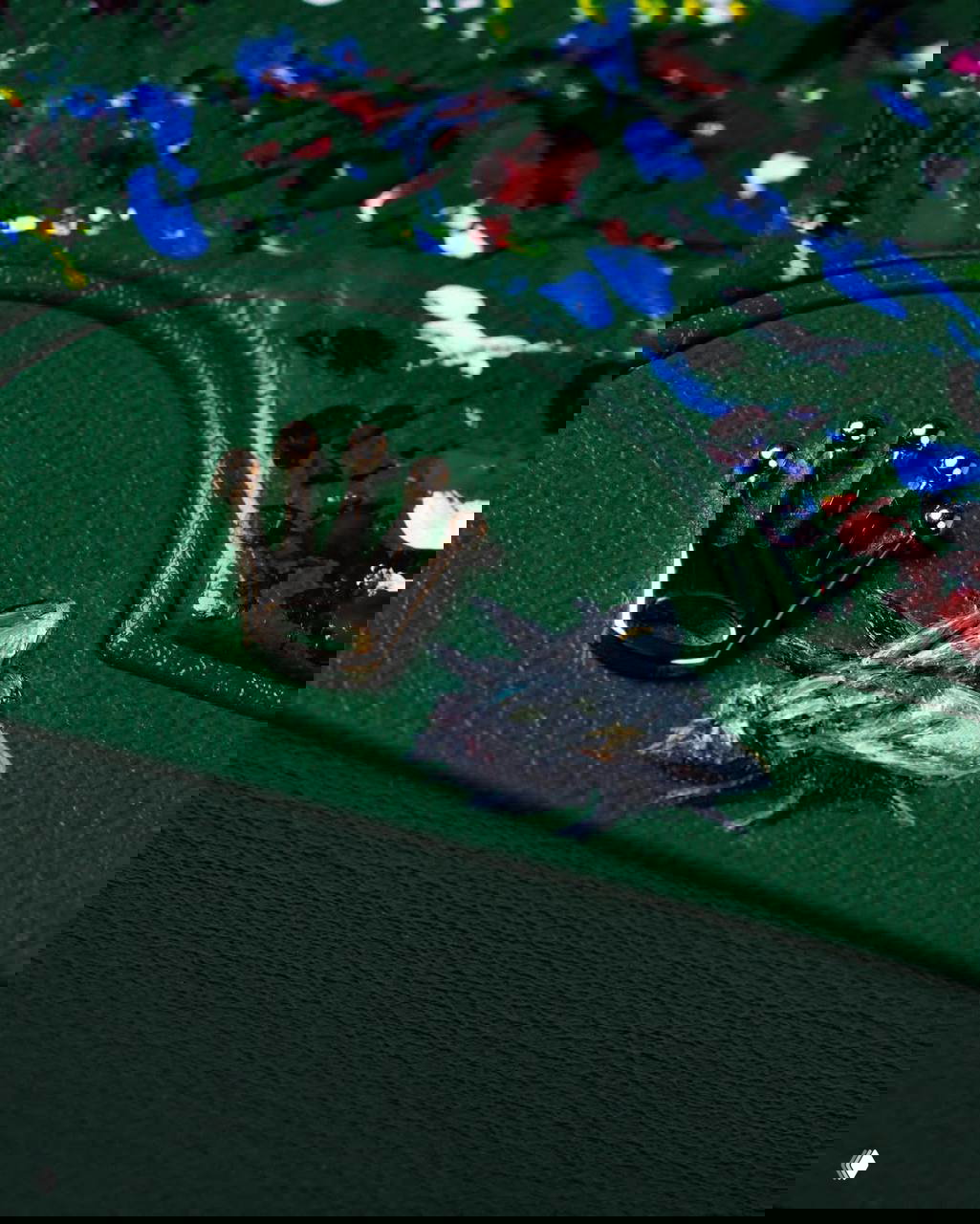 Крупный план зелёного футляра Rolex с фирменной короной и художественной росписью, рядом изображение мухи, написанное краской тонкой кистью.