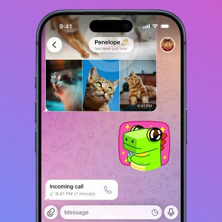 Интерфейс чата Telegram со стикером и коллекцией изображений в сообщении, демонстрирующий отправку стикеров и GIF в одном чате.