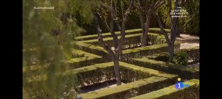 Вид паркового лабиринта со стрижеными живыми изгородями, дорожками между деревьями и зелёными посадками; кадр телевизионной съёмки создаёт атмосферу размышления о пути.