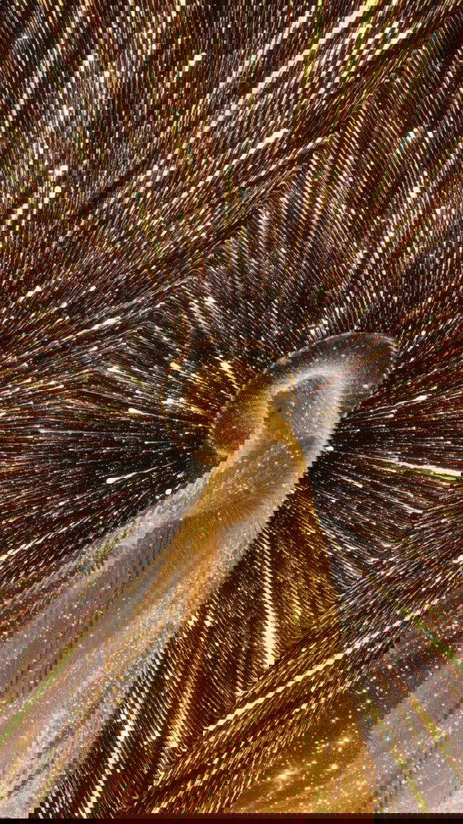 Транзит Солнца в 22-х воротах Открытости (7–13 марта)