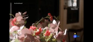 Крупный план светлого букета орхидей и мелких цветов на размытом фоне интерьера — декоративная композиция в мягком свете.