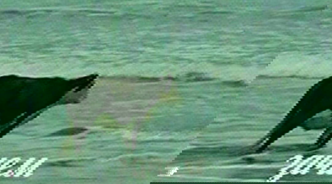 Зачем? Или, как прошел мой транзит 9-х ворот