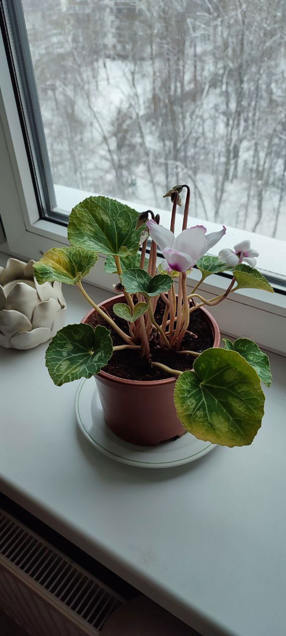 Как прошёл мой транзит (58-х ворот)