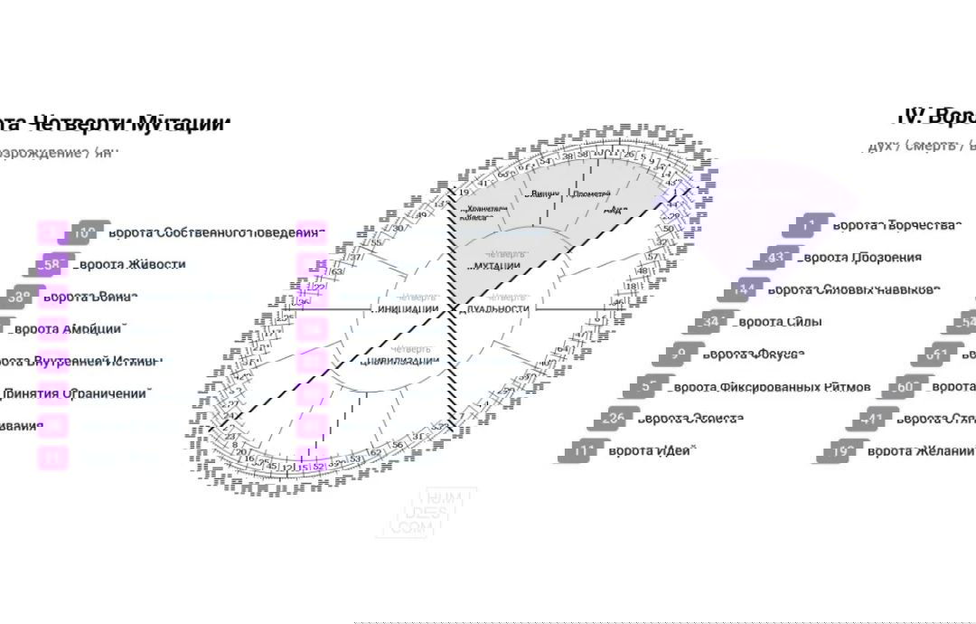 Четверть Мутации — перспектива Дизайна человека