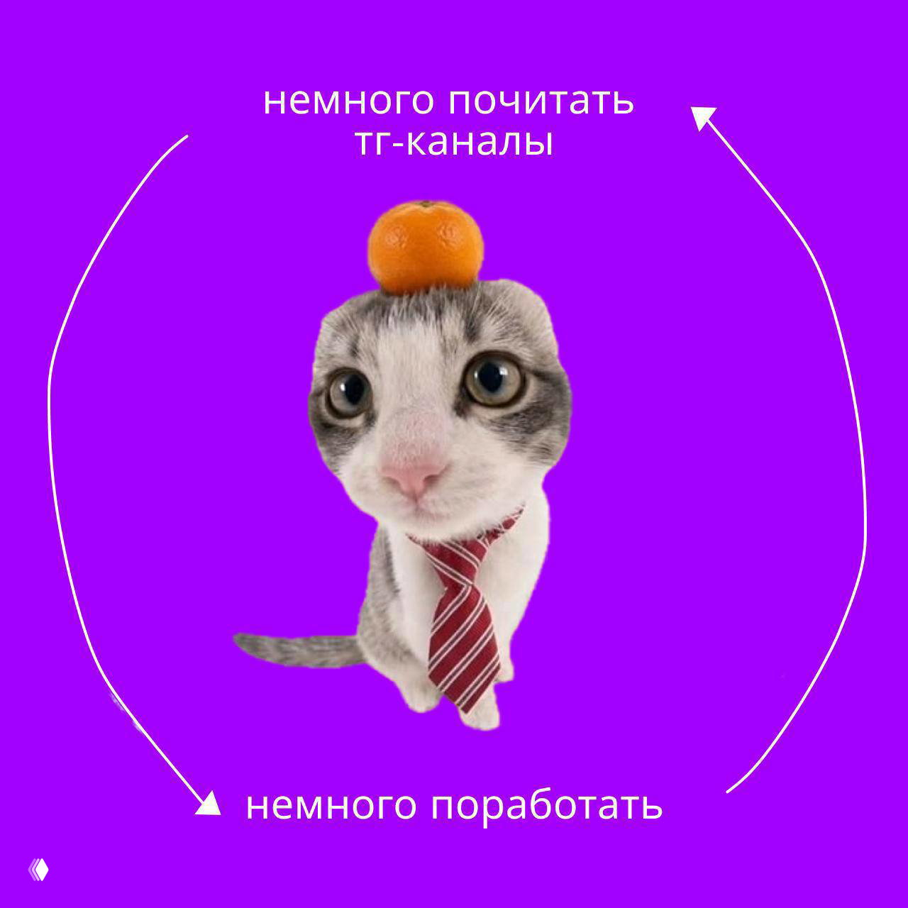 Подборка Telegram‑каналов по маркетингу