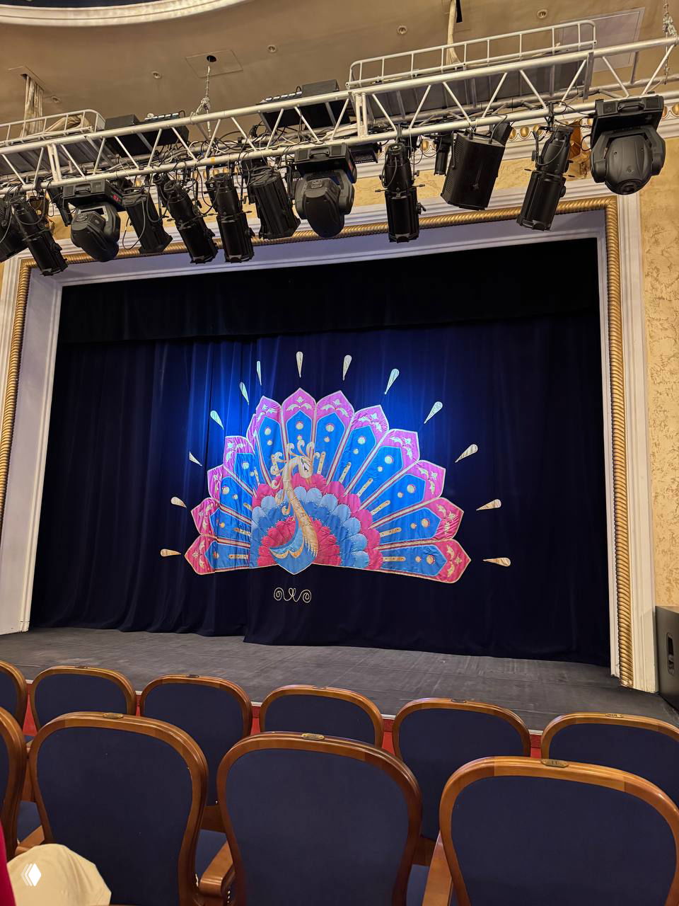 Сцена театра кукол с занавесом, украшенным ярким павлином, пустые ряды кресел перед началом представления, подготовка и ожидание магии.