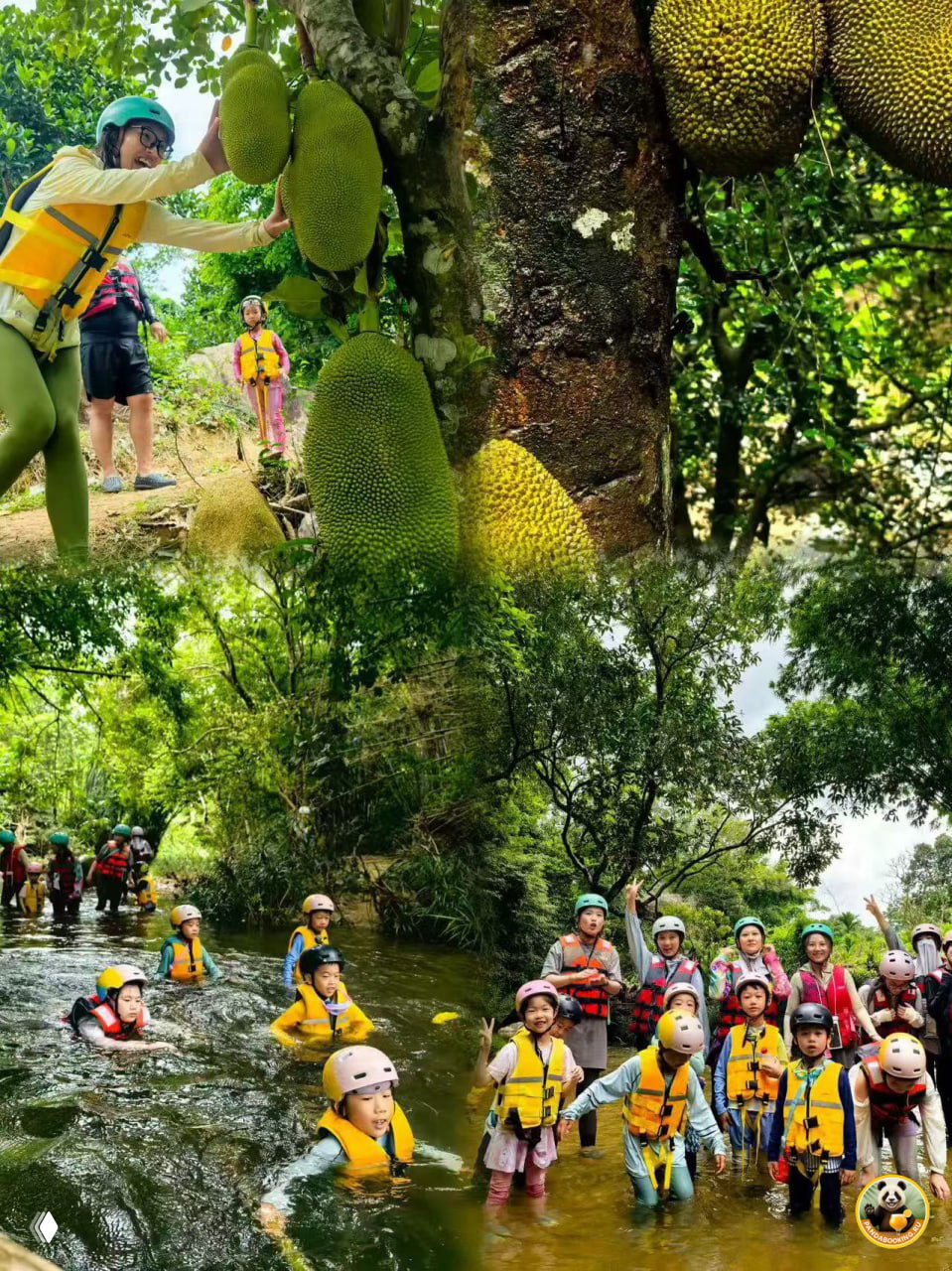 Тропическое приключение для детей и взрослых