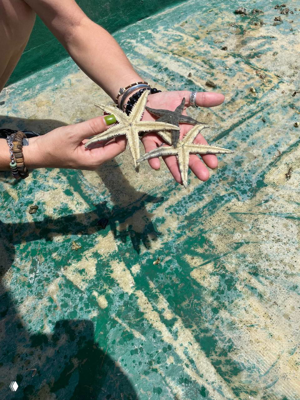 Аутентичный Хайнань — для детей