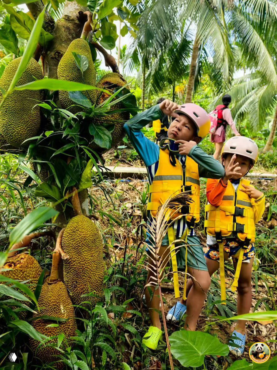 Дети у дерева с крупными плодами джекфрута в тропическом лесу: в касках и спасжилетах, внимательно рассматривают экзотические фрукты.