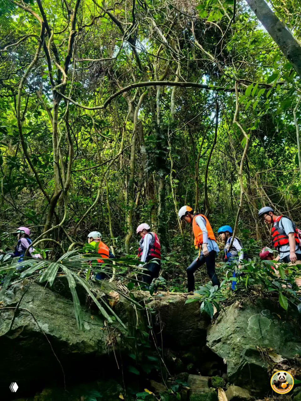 Группа детей и взрослых в шлемах идёт по узкой лесной тропе между деревьями и лианами — атмосфера густого тропического леса.