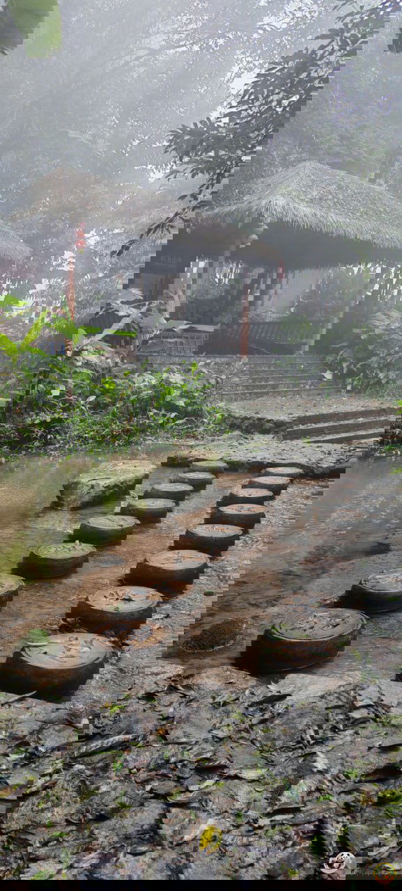 Мостики-ступени через мелководье и хижина с соломенной крышей в туманной части парка Байхуань, создающие мистическую атмосферу.