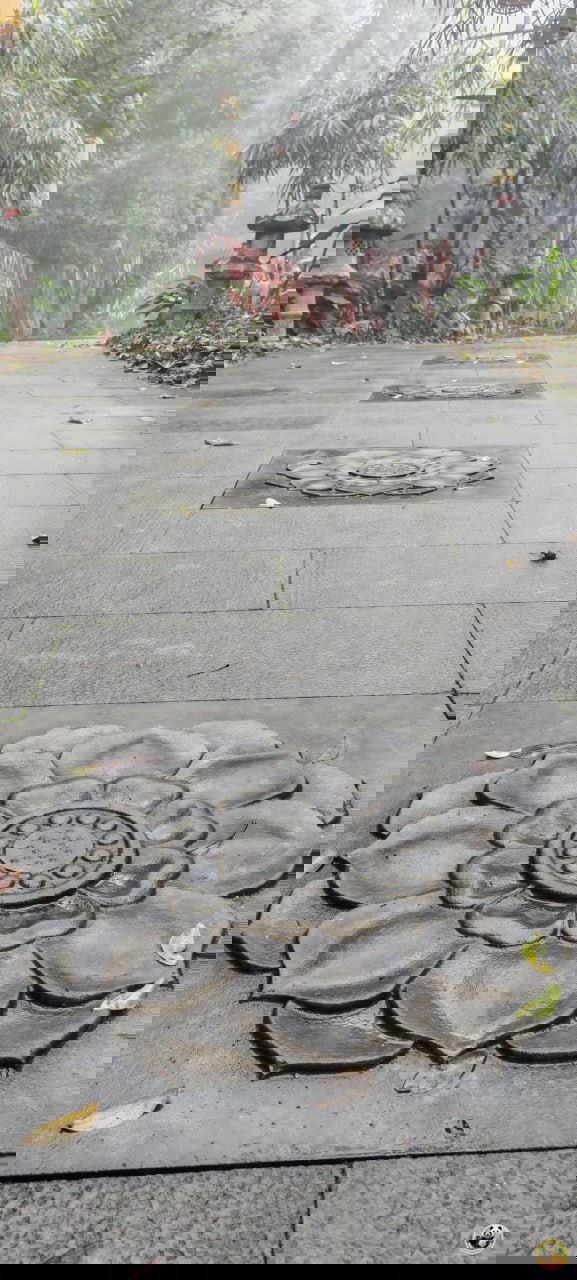 Влажная каменная плитка с цветочным рельефом на дорожке парка Байхуань — гладкие отполированные узоры в туманной тропе.