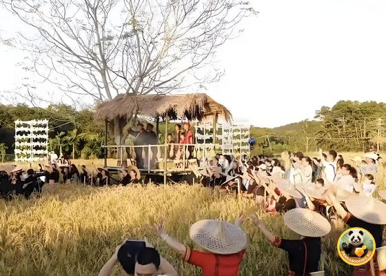 Зрители и участники собрались у сцены и рисовых полей, массовое празднование фестиваля шаньлань с обрядами и выступлениями.