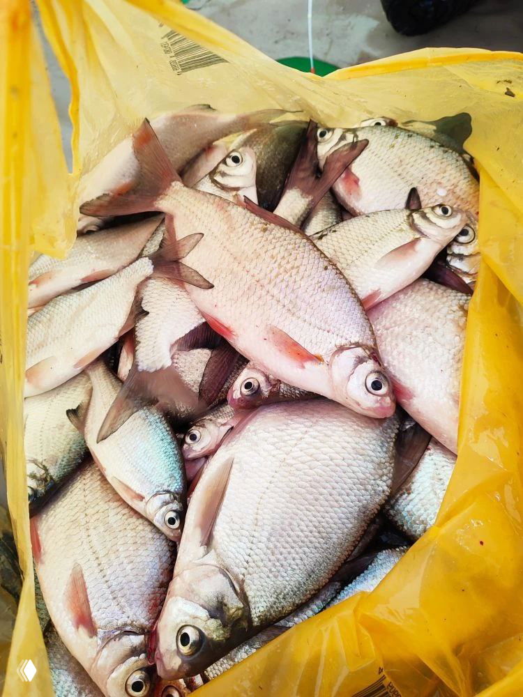 Рыбалка Маныч, Штаны — 28.02–01.03