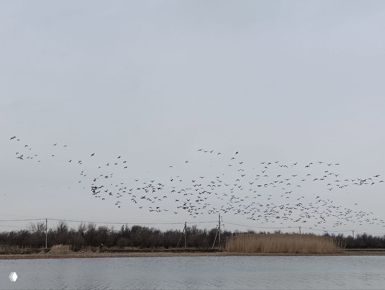 Мёртвый Донец, Каратаево — отчёт рыбалки 20.03.26