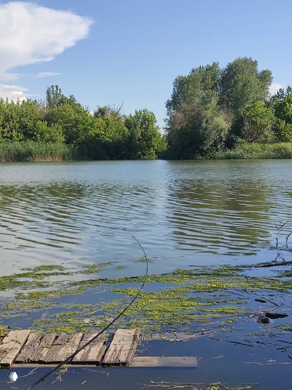 Отчёт: рыбалка на М. Донце, Каратаево 13.06.2026