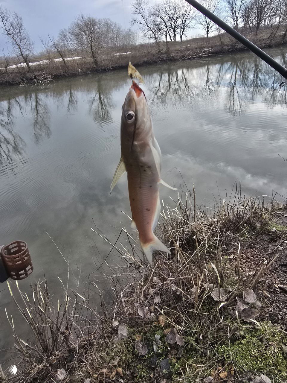 01.03 Рыбалка — Теплый канал, Бессергеневская