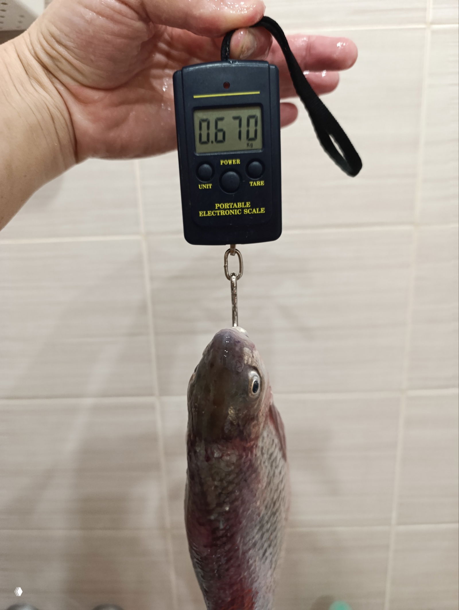 16.02 Рыбалка Маныч, Кресты