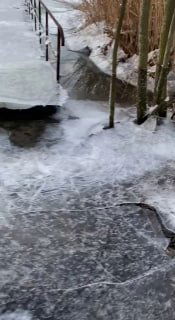 Обледеневшая прибрежная часть у причала: тонкий лёд с трещинами, ледяные наслоения и затопленный пирс на фоне неба.