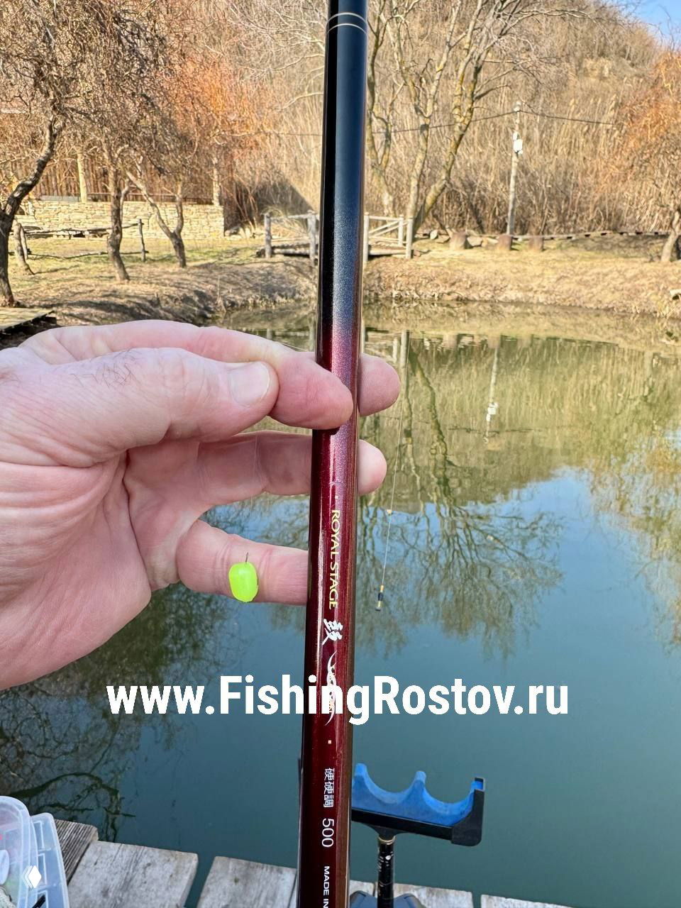 Рука держит маховое удилище Royal Stage с маркировкой 500, видны отражения пруда и береговые ступени