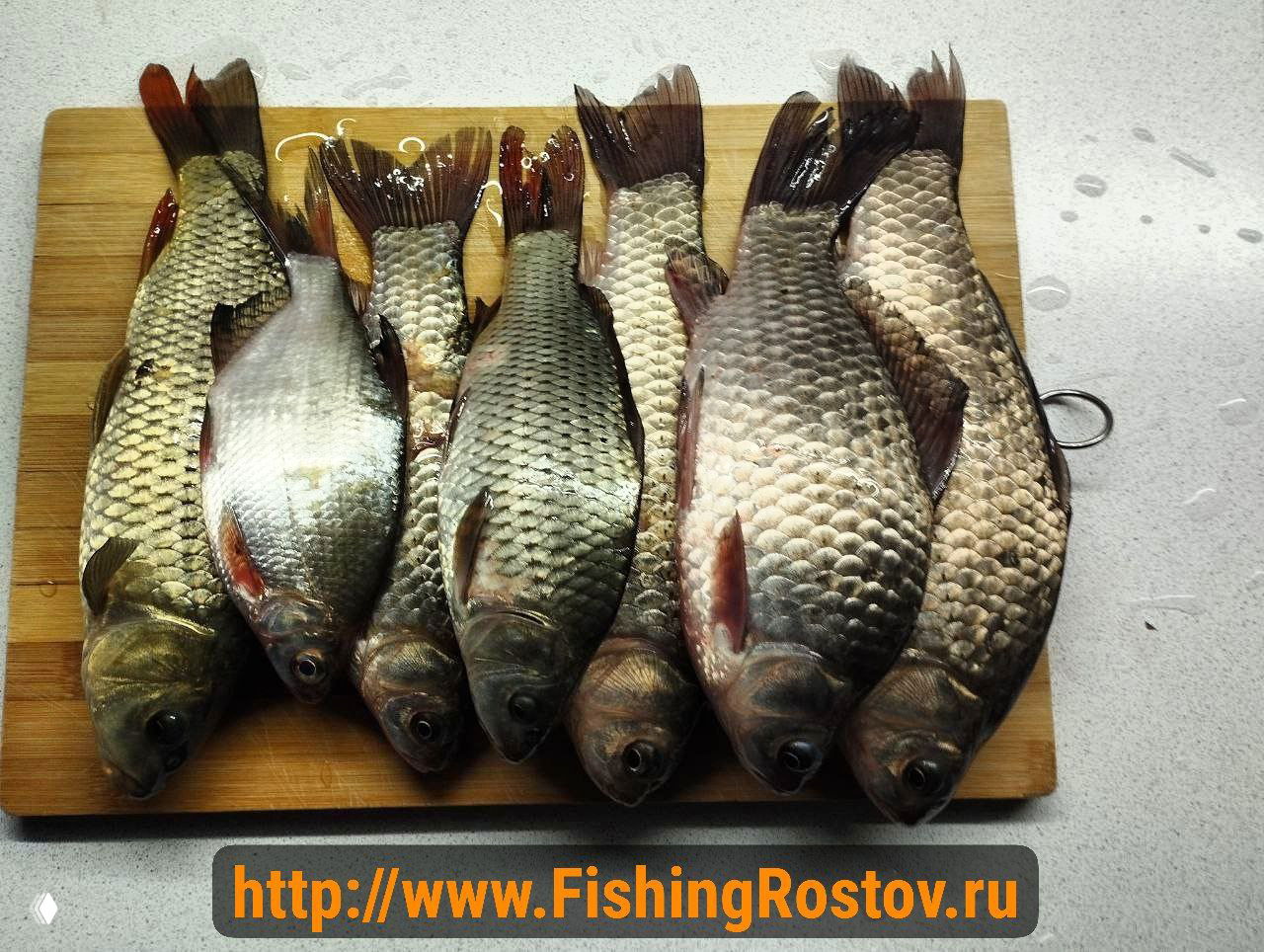 14.02 Ерик Дриганов — район Беседки