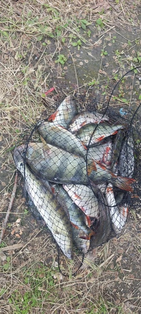 04.06 Рыбалка Северский Донец район Белой Калитвы