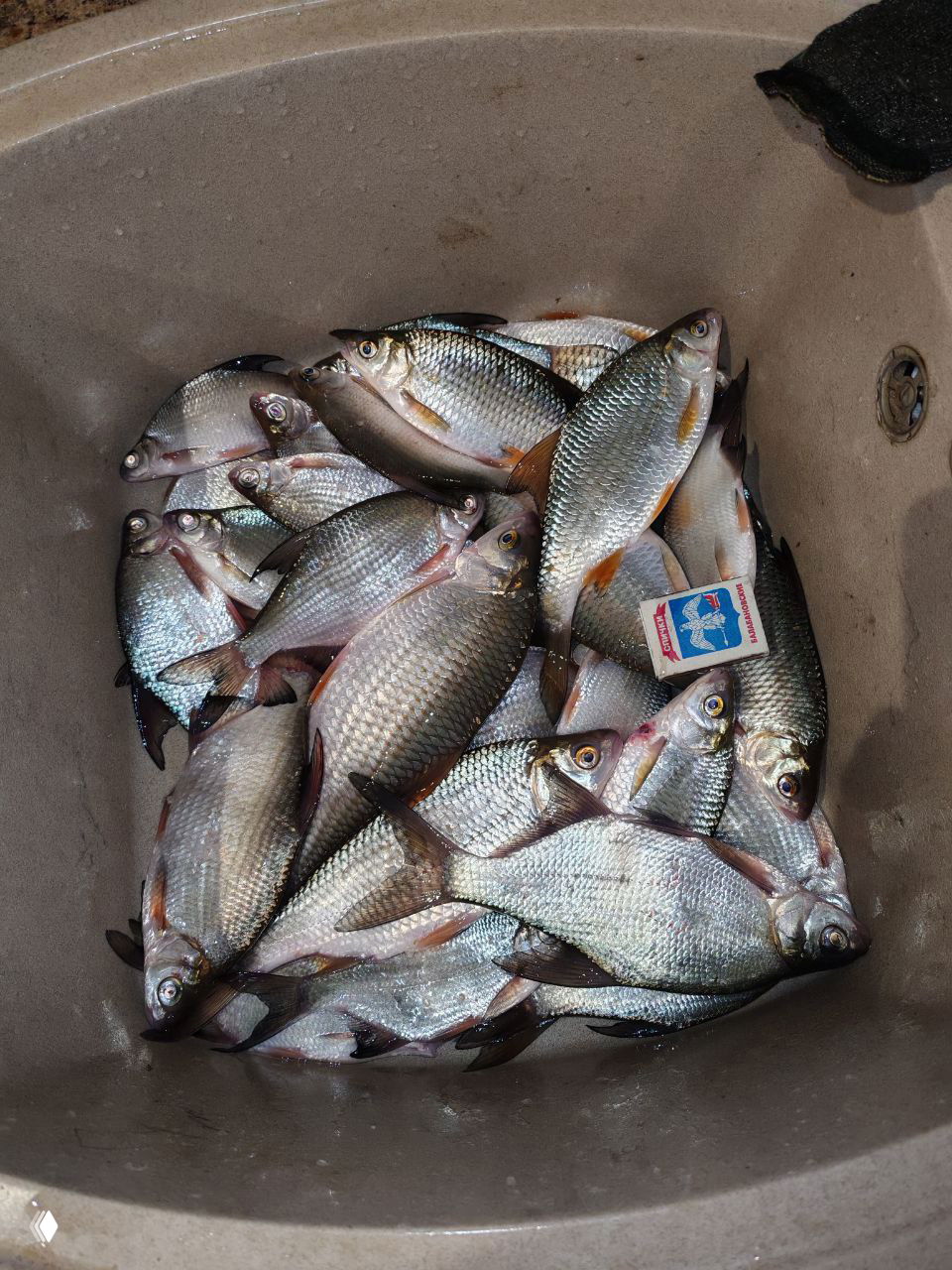 13.02 — карьер на Западном Ростова у осетровой фермы