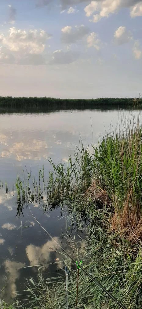 23.05. Рыбалка с ночёвкой — Веселовское вдхр